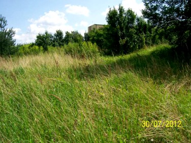 Działka budowlana Choszczno