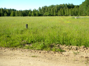 Działka budowlano-rolna Białowieża