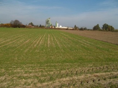 Działka rolna Długołęka