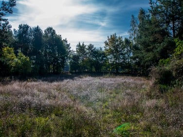 Działka budowlana Bojano