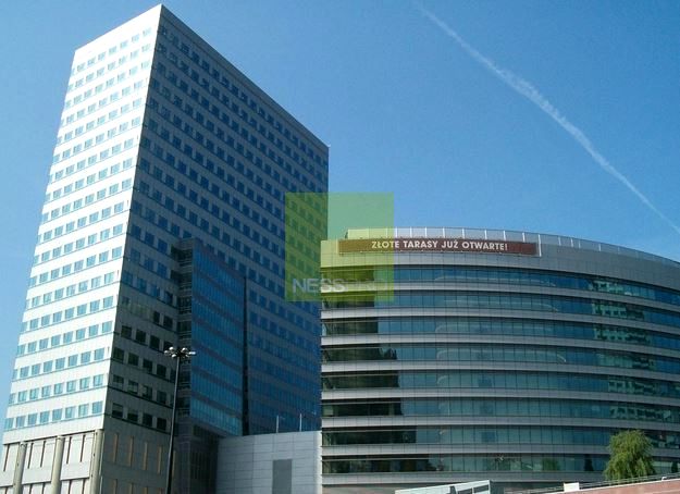 Lokal Warszawa