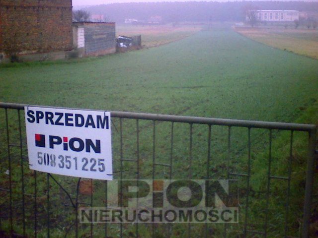 Działka rolna Daszewice