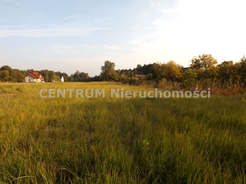 Działka budowlana Gołkowice