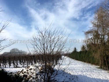 Działka budowlana Cesarzowice