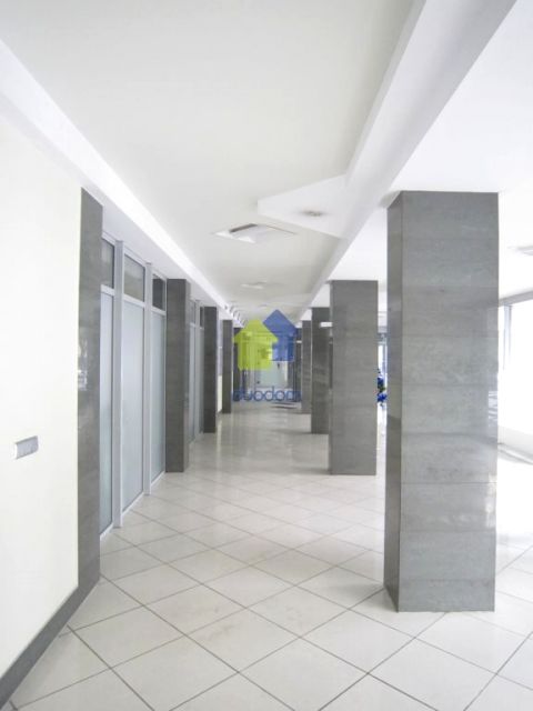 Lokal Kraków