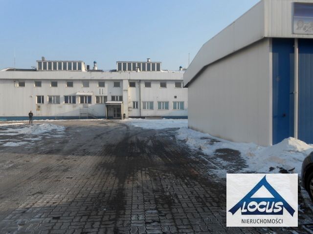 Lokal Warszawa