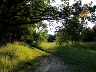 Działka budowlana Leszno