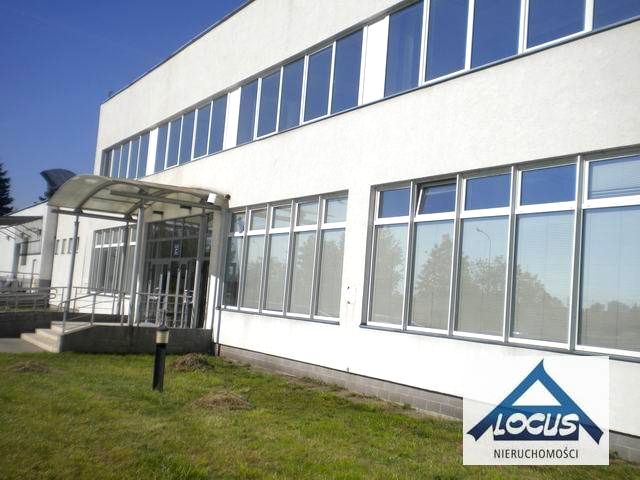 Lokal Warszawa