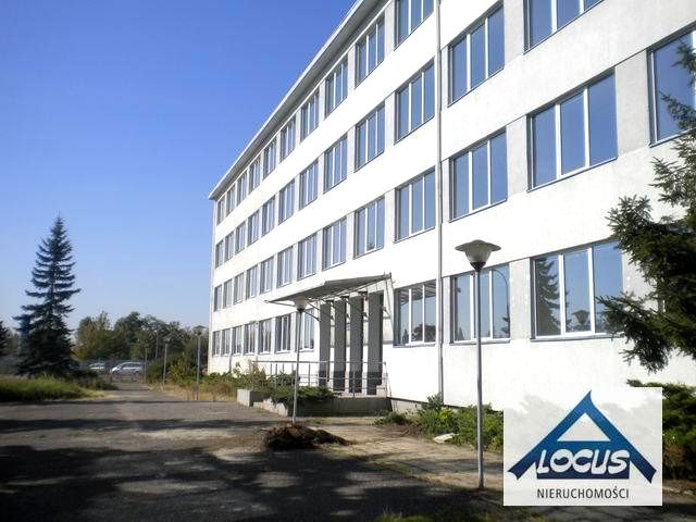 Lokal Warszawa