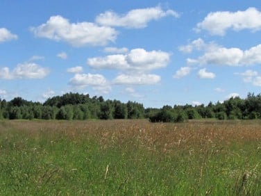 Działka budowlana Wiązowna