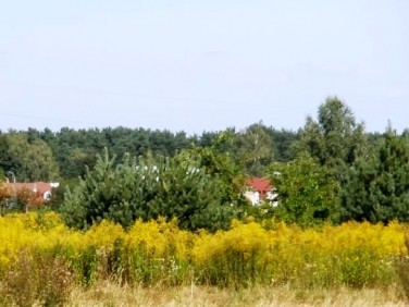Działka rolna Piaseczno