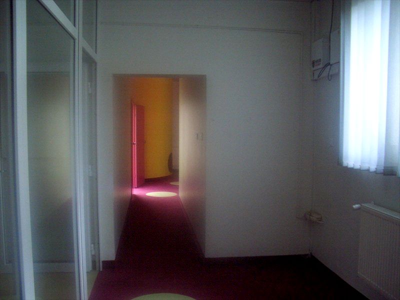 Lokal Warszawa