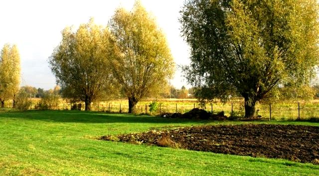 Działka budowlana Piaseczno