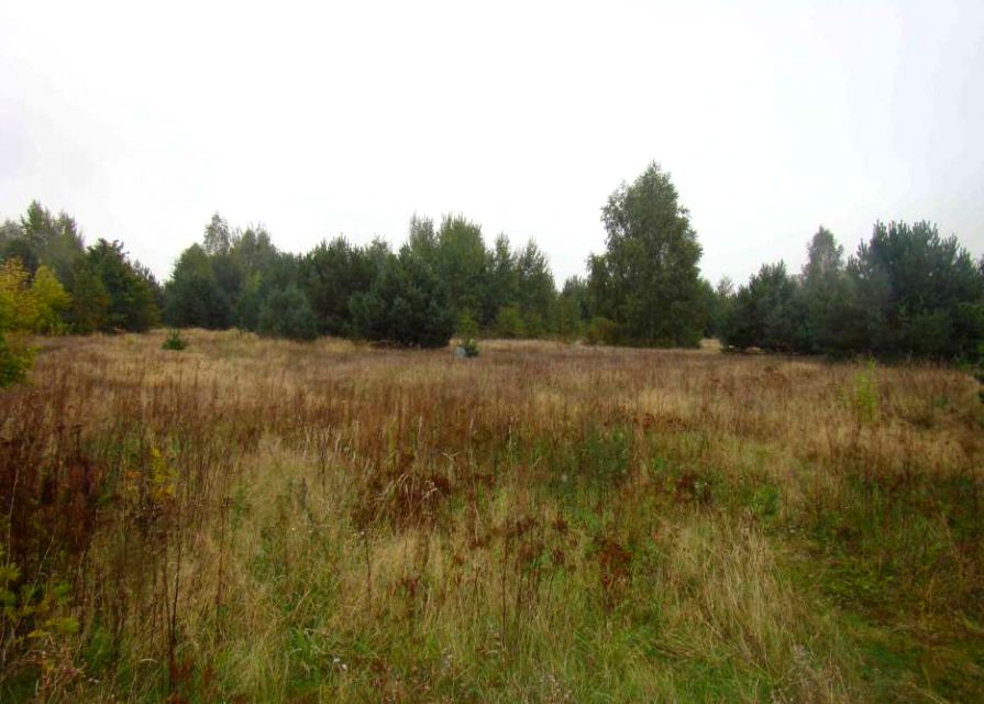 Działka Tarczyn