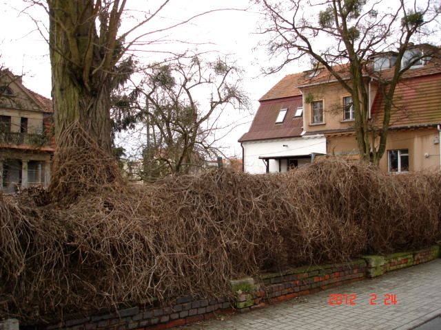 Działka budowlana Poznań