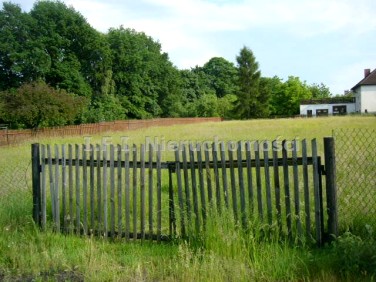 Pusta działka Warszowice