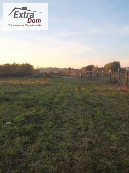 Zdjęcie 3