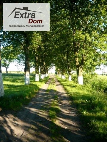 Zdjęcie 3