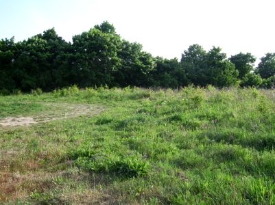 Działka budowlana Gorzów Wielkopolski