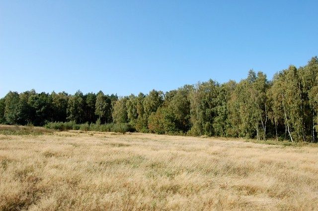 Działka Pustkowo