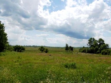Działka rolna Rogozina