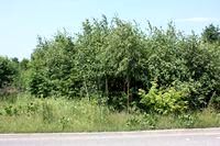 Działka budowlana Warszawa