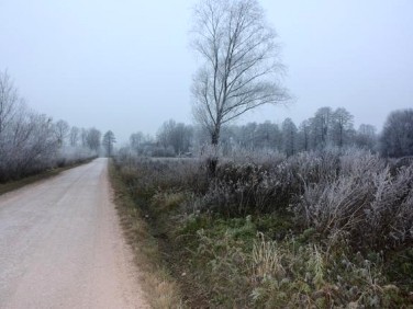 Działka budowlana Kazimierów