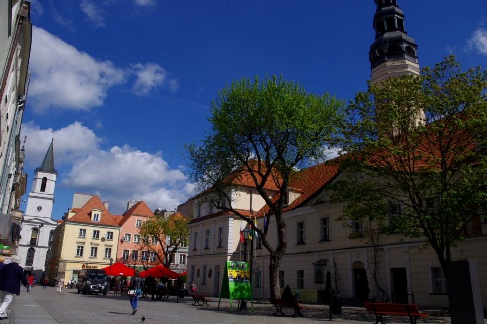 Lokal Zielona Góra