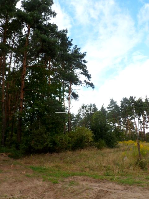 Pusta działka Poznań