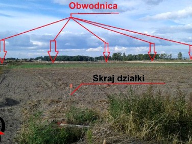 Działka Inowrocław