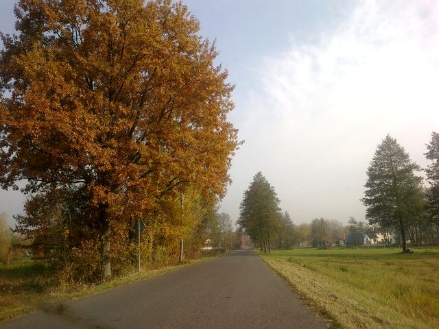Działka siedliskowa Mariew
