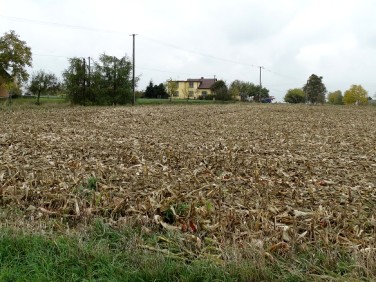 Działka budowlana Kończyce Wielkie