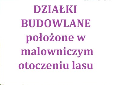 Działka Mława