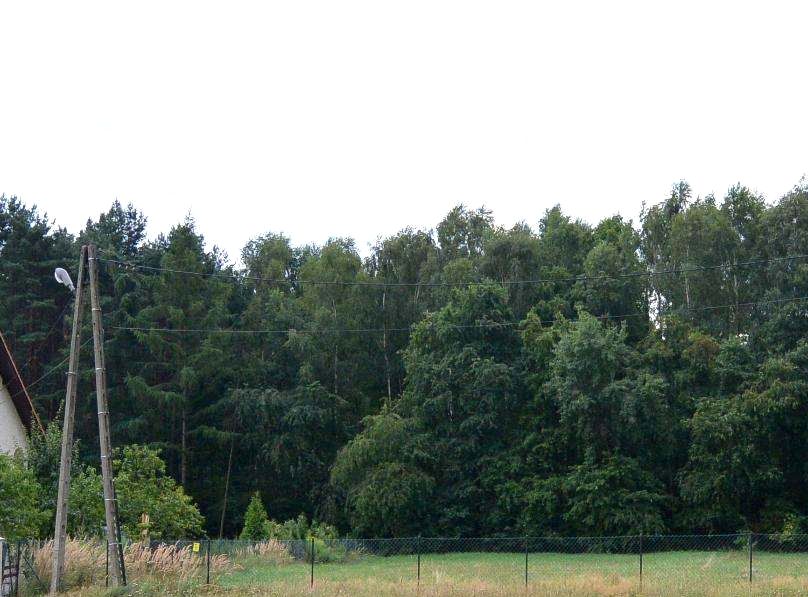 Działka budowlana Rybnik