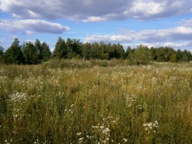 Działka budowlana sprzedam