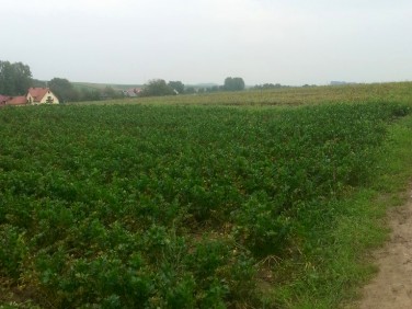 Działka rolna Kocmyrzów-Luborzyca