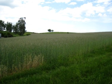 Działka budowlana Zastów