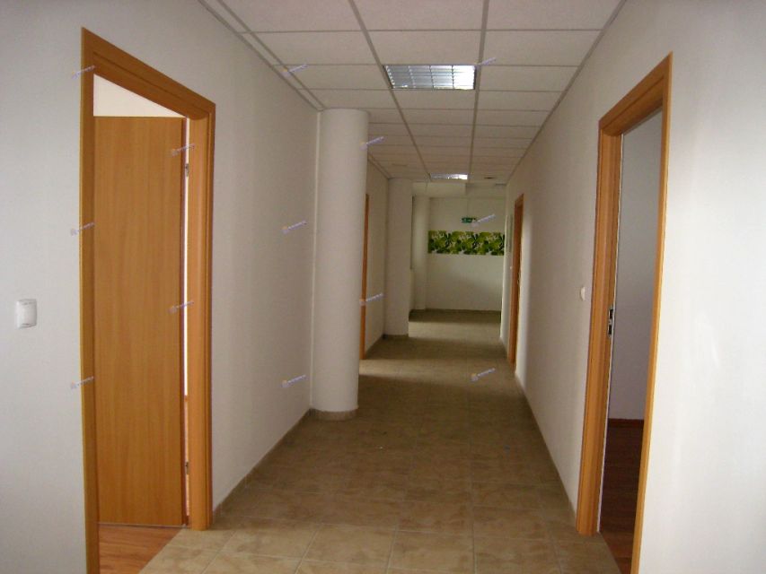 Lokal Warszawa