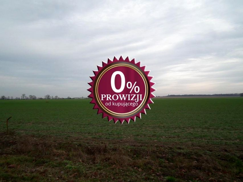 Działka Trzcielin