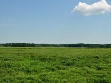 Działka rolna Choszczno