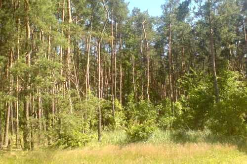 Działka budowlana Warszawa