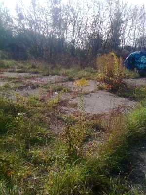 Działka budowlana Warszawa