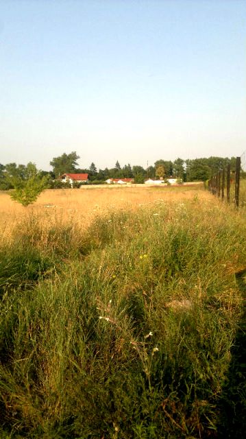 Działka budowlana Słońsko