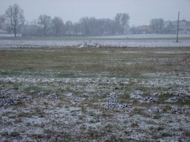 Działka rolna Inowrocław