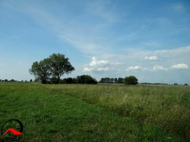 Działka rolna Balczewo