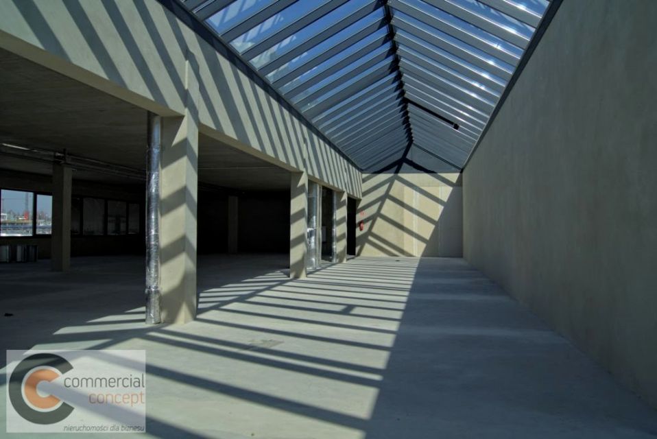 Lokal Kraków