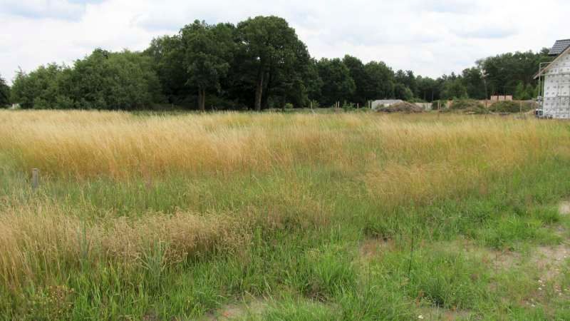 Działka budowlana Szczecin