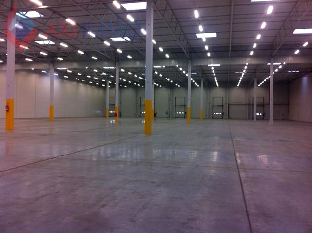 Lokal Poznań wynajem