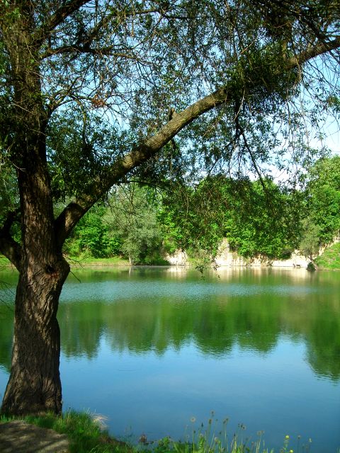 Działka inwestycyjna Rogów Opolski
