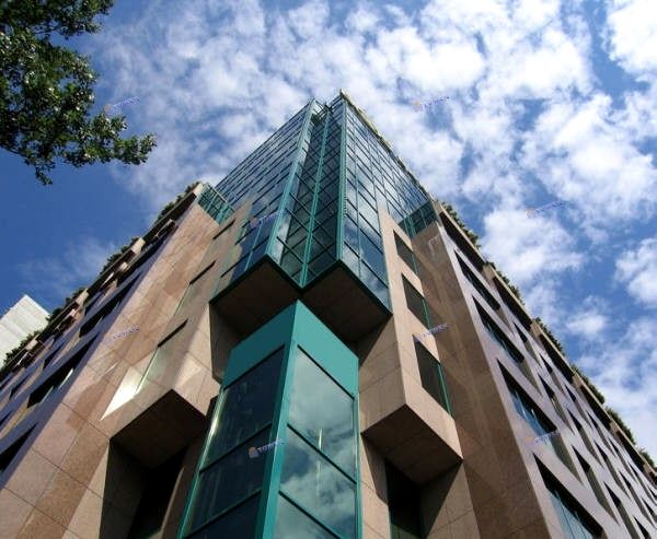 Lokal Warszawa